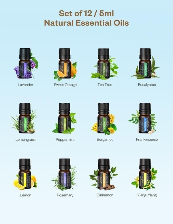 Anjou Aroma Diffuser and Essential Oils (AJ-PCN079)