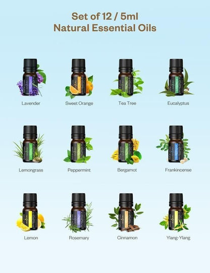 Anjou Aroma Diffuser and Essential Oils (AJ-PCN079)