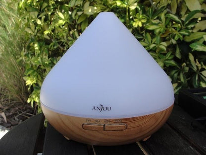Anjou Aroma Diffuser and Essential Oils (AJ-PCN079)