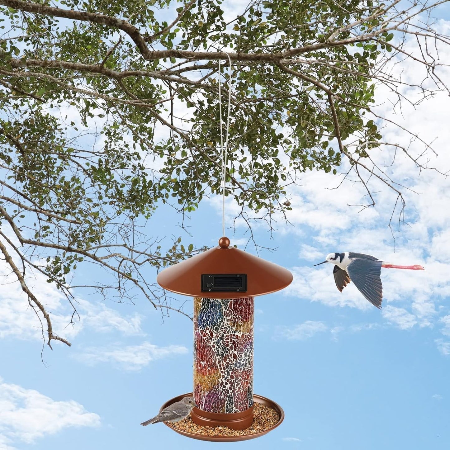Lagute Birdland Wild Bird Feeder for Garden Yard Outdoor Decor Solar Bird Feeder