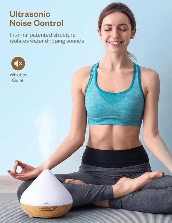 Anjou Aroma Diffuser and Essential Oils (AJ-PCN079)