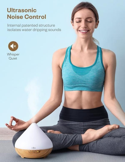 Anjou Aroma Diffuser and Essential Oils (AJ-PCN079)